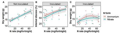 Nitrogen fertilizer rate but not form affects the severity of Fusarium wilt in banana